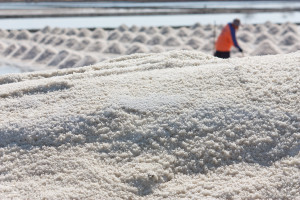 Salt texture with farmer