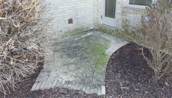 Algae and Mold on Patio