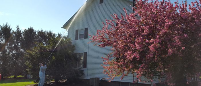 Siding Cleaning