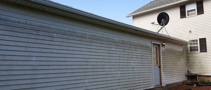 Algae and Mold on Siding