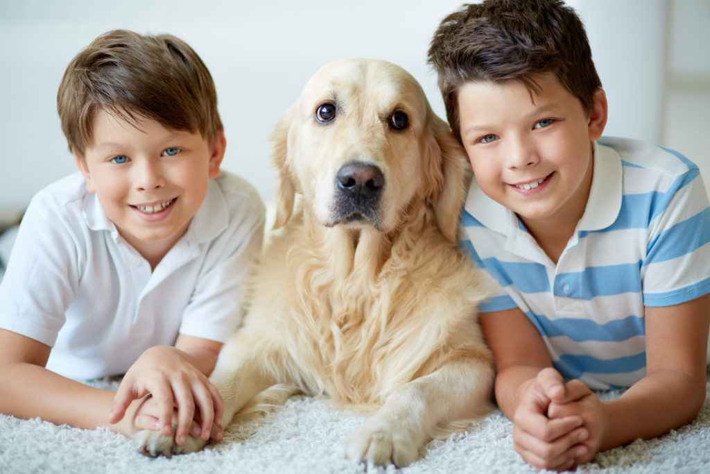 Cleaning With Pets