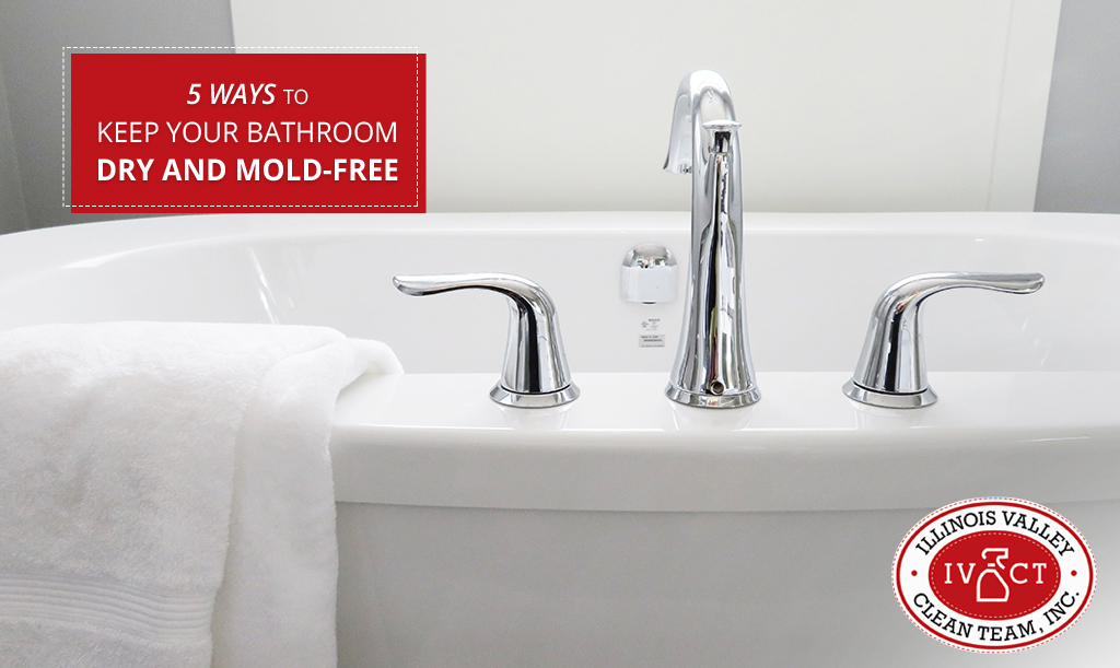 5 Ways to Keep Your Bathroom Dry and Mold-Free